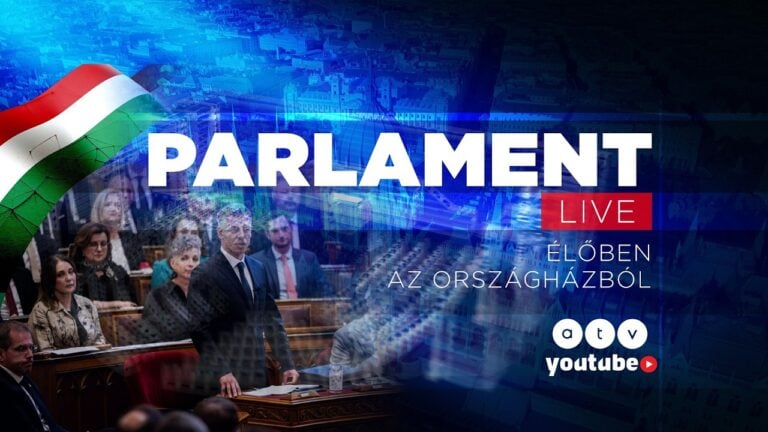 Magyar Péter, beszéd, Fidesz